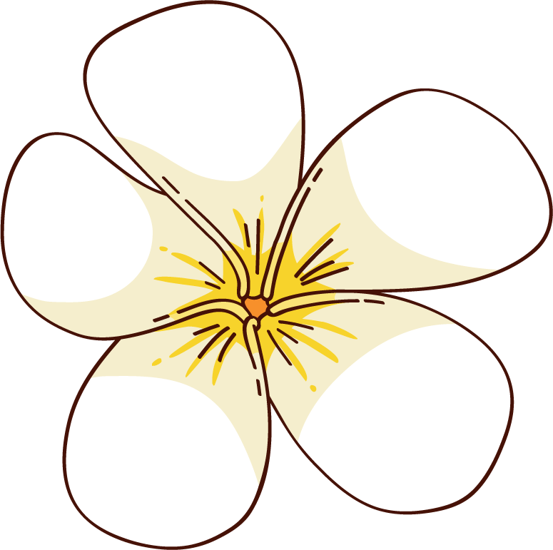 Thai Oil massage Las Vegas